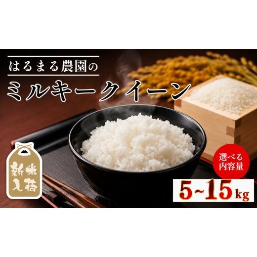 ふるさと納税 米 ミルキークイーン 京都府 福知山市 令和8年産 京都丹波福知山産 はるまる農園のミルキークイーン 精米(5kg) fc-CN004-R8-A はるまる農園 ミル…