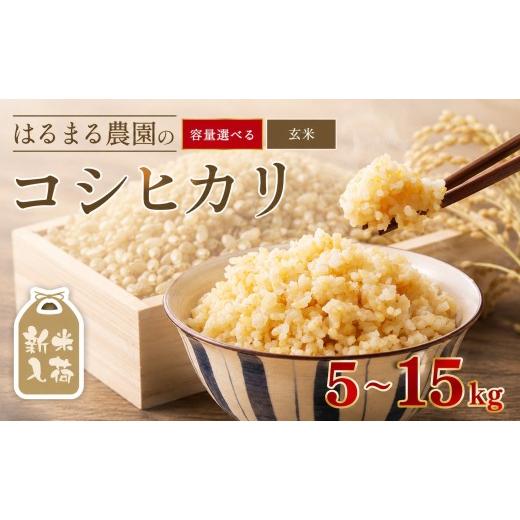 ふるさと納税 米 コシヒカリ 京都府 福知山市 令和8年産 京都丹波福知山産 はるまる農園のコシヒカリ 玄米(5kg) fc-CN003-R8-A はるまる農園 コシヒカリ(玄米)…