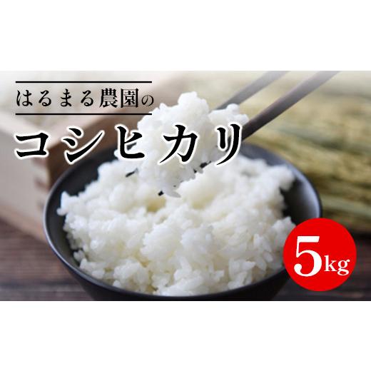 ふるさと納税 米 コシヒカリ 京都府 福知山市 令和8年産 京都丹波福知山産 はるまる農園のコシヒカリ 精米(5kg) fc-CN002-R8-A はるまる農園 コシヒカリ 5kg