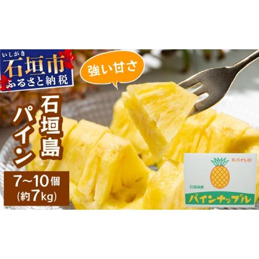ふるさと納税 果物類 沖縄県 石垣市 石垣島パイン(ハワイ種またはピーチパイン) 7~10個(約7kg) 2026年6月中旬頃より順次発送 PE-001