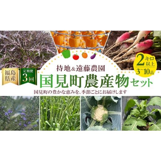 ふるさと納税 セット・詰合せ 福島県 国見町 定期便3回 国見町農産物セット 全3回 | 定期便 米 お米 野菜 あんぽ柿 新鮮 料理 旬 季節 季節の野菜 詰め合わせ…