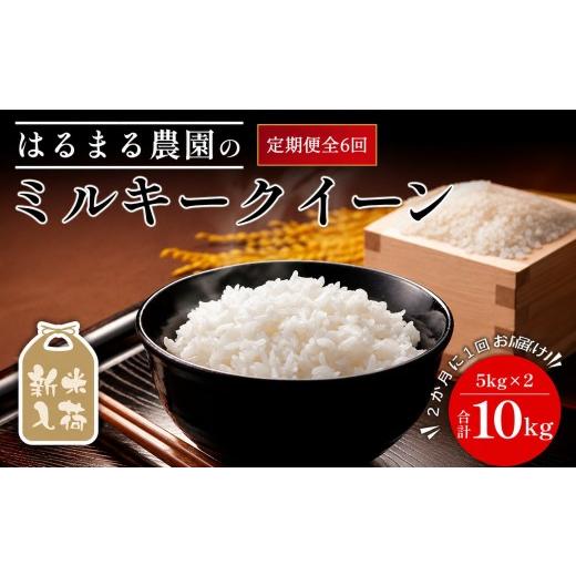 ふるさと納税 米 ミルキークイーン 京都府 福知山市 先行予約受付中 2026年8月下旬以降順次発送 定期便6回 令和8年産 はるまる農園のミルキークイーン 精米(1…