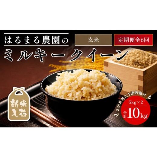 ふるさと納税 米 ミルキークイーン 京都府 福知山市 先行予約受付中 2026年8月下旬以降順次発送 定期便6回 令和8年産 はるまる農園のミルキークイーン 玄米(1…