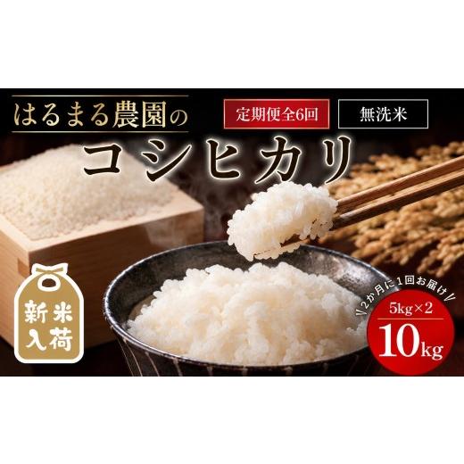 ふるさと納税 米 コシヒカリ 京都府 福知山市 先行予約受付中 2026年8月下旬以降順次発送 定期便6回 令和8年産 はるまる農園のコシヒカリ 無洗米(10kg×6回) …