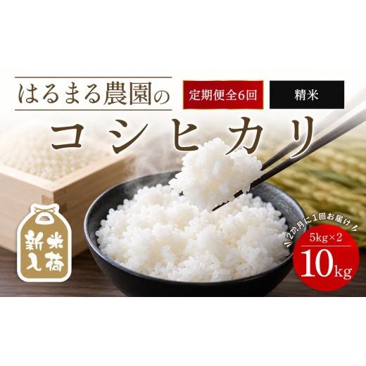 ふるさと納税 米 コシヒカリ 京都府 福知山市 先行予約受付中 2026年8月下旬以降順次発送 定期便6回 令和8年産 はるまる農園のコシヒカリ 精米(10kg×6回) fc…