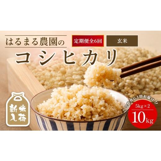 ふるさと納税 米 コシヒカリ 京都府 福知山市 先行予約受付中 2026年8月下旬以降順次発送 定期便6回 令和8年産 はるまる農園のコシヒカリ 玄米(10kg×6回) fc…