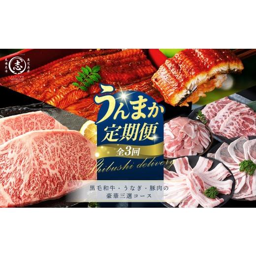 ふるさと納税 牛肉 サーロイン 鹿児島県 志布志市 定期便全3回 黒毛和牛・うなぎ・豚肉の豪華三選コース 志布志うんまか定期便 国産 牛肉 ステーキ 鰻 うな重…