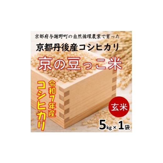 ふるさと納税 玄米 京都府 与謝野町 令和7年 京都府産「京の豆っこ米」 玄米5kg おいしい丹後のコシヒカリ 農家直送 1744689