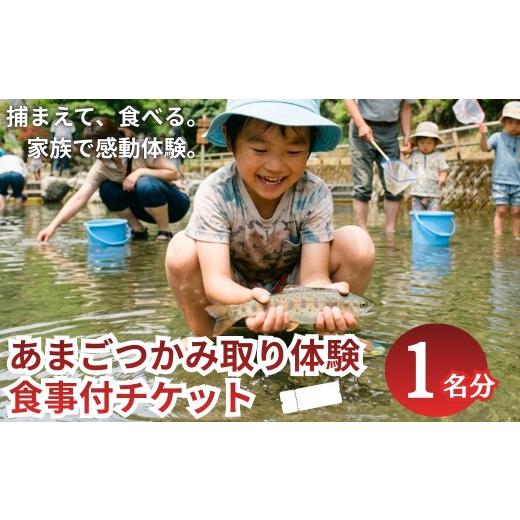 ふるさと納税 お食事券 兵庫県 丹波市 人気 あまごつかみどり体験チケット 1名様分[調理込み・おにぎり付き]家族みんなで笑顔になれる清流体験 子ども主役…