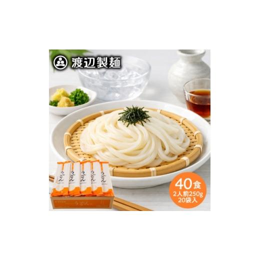 ふるさと納税 うどん 生・半生めん 長野県 茅野市 うどん40食 1袋250g2人前×20袋(計5kg)乾麺 信州八ヶ岳よりお届け 1746182