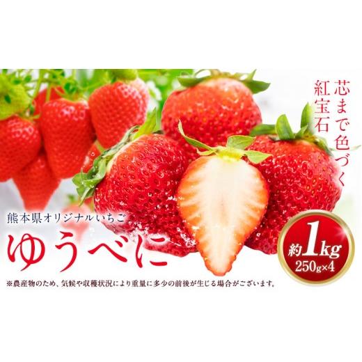 ふるさと納税 いちご 熊本県 氷川町 ゆうべに 約1kg 250g×4パック エフビーネット 道の駅竜北[2027年1月上旬-4月中旬頃出荷]熊本県 氷川町 苺 フルーツ 国…