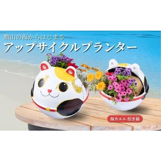 ふるさと納税 雑貨・日用品 千葉県 館山市 アップサイクルプランター 海カエル招き猫(1個) 1681030