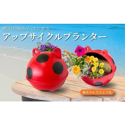 ふるさと納税 雑貨・日用品 千葉県 館山市 アップサイクルプランター 海カエルてんとう虫(1個) 1681045