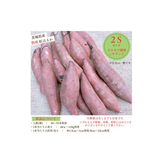 ふるさと納税 野菜類 サツマイモ 茨城県 かすみがうら市 産地直送 生さつまいも「熟成紅はるか」調理しやすい小さめサイズ5kg 1748778