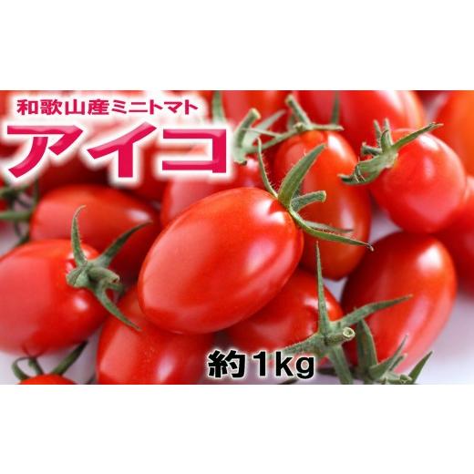 ふるさと納税 トマト ミニトマト 和歌山県 北山村 和歌山産ミニトマト「アイコトマト」約1kg(M・Lサイズおまかせ)[2027年出荷分]