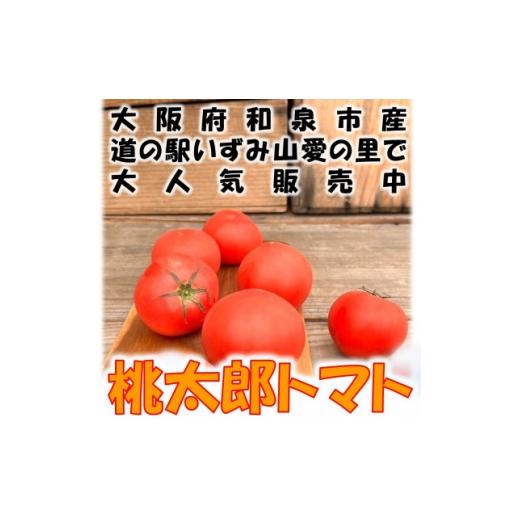 ふるさと納税 野菜類 トマト 大阪府 和泉市 桃太郎トマト 約1kg(5〜6玉) 大阪府 和泉市 道の駅いずみ山愛の里 1525132