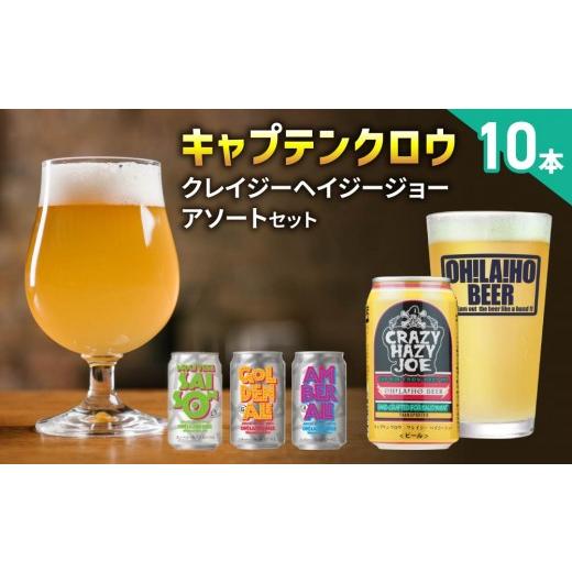 ふるさと納税 ビール 地ビール 長野県 東御市 クラフトビール 数量限定 キャプテンクロウ「クレイジーヘイジージョー」アソートセット(クレイジーヘイジージ…