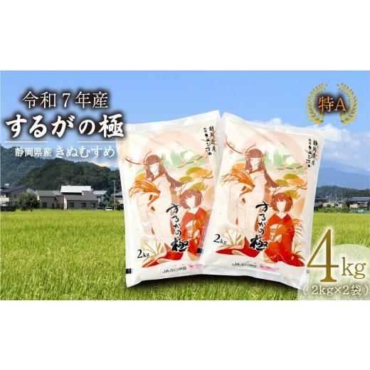 ふるさと納税 雑貨・日用品 キャラクター 静岡県 長泉町 北海道・沖縄・離島配送専用ページ 令和7年産米 するがの極 4kg 2kg × 2袋 特A ラブライブ サンシャ…