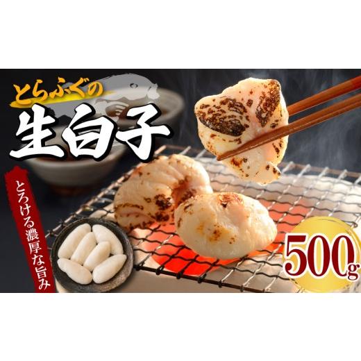 ふるさと納税 フグ 山口県 下関市 とらふぐ白子 大容量 500g 冷凍 トラフグ 生 白子 おつまみ とらふぐ グルメ 魚介 新鮮 生白子 ふぐ しらこ 希少 鍋 白子焼…