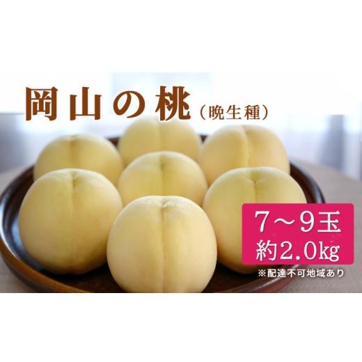 ふるさと納税 もも 岡山県 玉野市 桃 2026年 先行予約 特選 岡山の白桃 7〜9玉 約2kg 晩生種 もも モモ 岡山県産 国産 フルーツ 果物 ギフト いろは堂