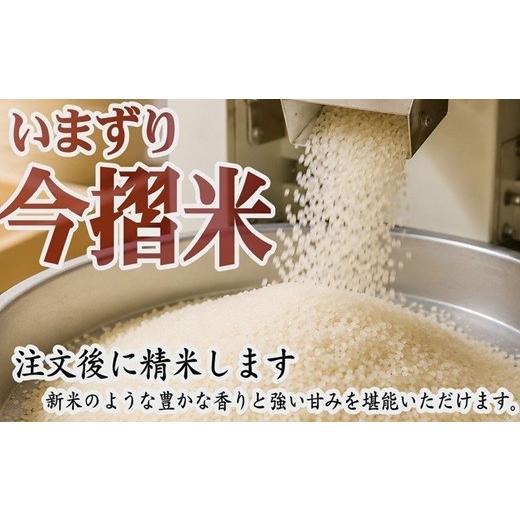 ふるさと納税 米 コシヒカリ 三重県 松阪市 精米 10kg (5kg×2) ( お米