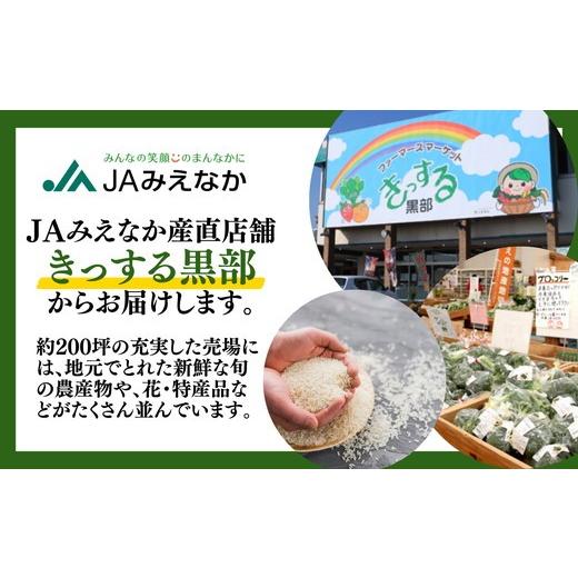 ふるさと納税 米 コシヒカリ 三重県 松阪市 精米 10kg (5kg×2) ( お米