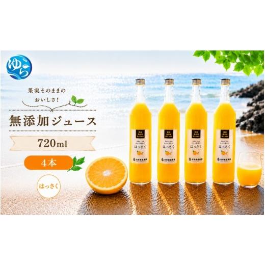 ふるさと納税 果汁飲料 みかん 和歌山県 由良町 はっさく 100% ジュース / 八朔 ストレート 果汁 無添加 柑橘 和歌山 14000円 720ml 北海道・沖縄・離島への…