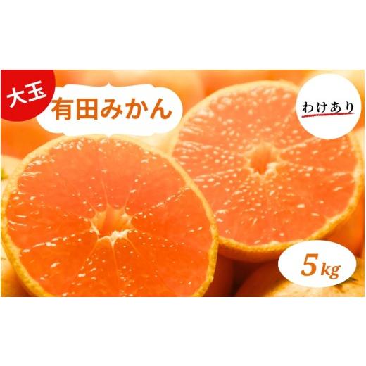 ふるさと納税 果物類 みかん 和歌山県 太地町 和歌山県産 有田みかん 大玉5kg 2L〜3L 訳あり 2026年10月中旬〜2027年1月中旬頃に順次発送予定 smt001A