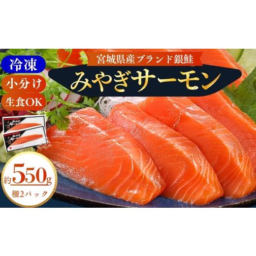 ふるさと納税 魚貝類 サーモン 宮城県 東松島市 宮城県漁協直送 小分け 冷凍 生食 みやぎサーモン(小骨処理済)刺身用柵 約550g(2パック)半身 サーモン 鮭…