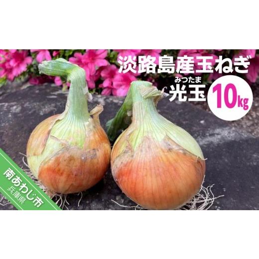 ふるさと納税 野菜類 玉ねぎ 兵庫県 南あわじ市 淡路島産玉ねぎ光玉 10キロ
