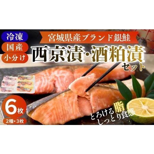 ふるさと納税 魚貝類 サーモン 宮城県 東松島市 宮城県漁協直送 小分け 冷凍 合計6枚(2種 × 各3袋) 宮城県産ブランド銀鮭 みやぎサーモン 西京漬・酒粕漬 食…