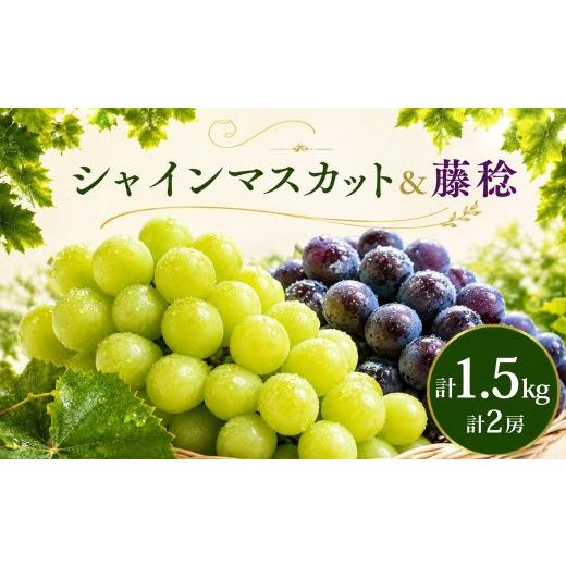 ふるさと納税 ぶどう マスカット 埼玉県 久喜市 食べ比べ シャインマスカット1房 藤稔1房 約1.5kg 2026年 先行予約 数量限定 | シャインマスカット ぶどう 葡…