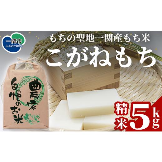ふるさと納税 米・パン もち米 岩手県 一関市 一関市産もち米 こがねもち 5kg|国産もち米 もちの聖地いちのせき 50年以上もち米専業農家 厳選 高品質米 強い…