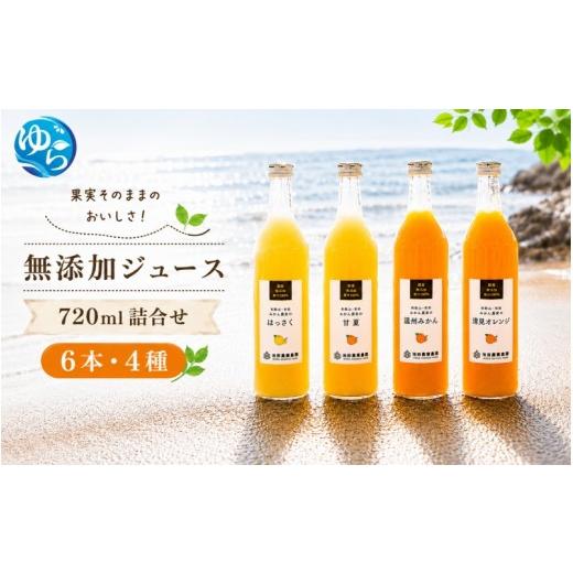 ふるさと納税 果汁飲料 みかん 和歌山県 由良町 有田 みかん 100% ジュース / 温州みかん 有田みかん ストレート 果汁 無添加 柑橘 和歌山 20000円 720ml 北…