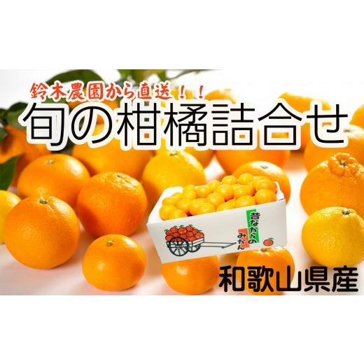 ふるさと納税 みかん・柑橘類 和歌山県 海南市 鈴木農園の旬の柑橘詰め合わせ 4.5kg〜5kg 箱 2月〜4月発送