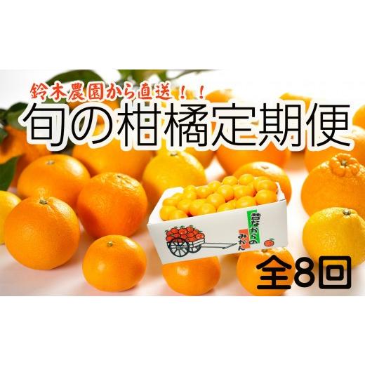 ふるさと納税 果物類 みかん 和歌山県 海南市 [定期便 全8回]和歌山県鈴木農園産 旬のフルーツ定期便