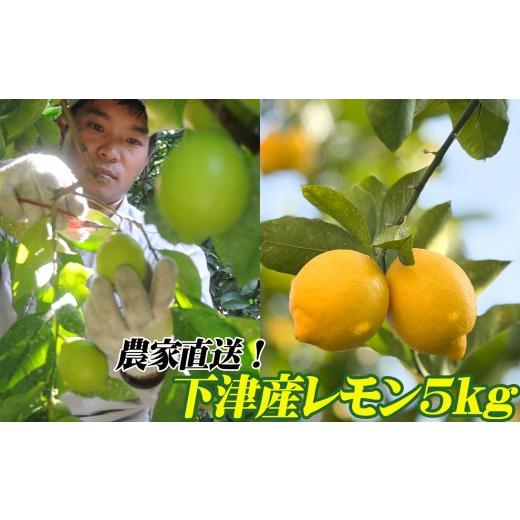 ふるさと納税 果物類 和歌山県 海南市 レモン 約5kg 大小混合サイズ ちょっと訳あり 11月〜2月に鈴木みかん農園より農園直送 青いレモン 黄色いレモン 北海道…