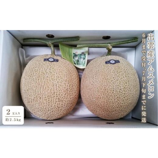 ふるさと納税 メロン メロン青肉 島根県 出雲市 アムスメロン 2玉入り(約2.5kg) 6月下旬から7月下旬にお届け