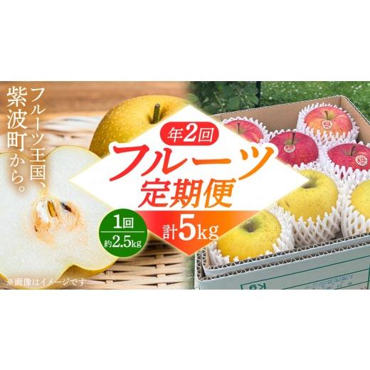 ふるさと納税 果物の詰合せ 岩手県 紫波町 フルーツ 定期便 年2回 計 5kg(各約2.5kg)梨 りんご 和梨 サンふじ シナノゴールド 愛甘水 林檎 リンゴ サンフジ …