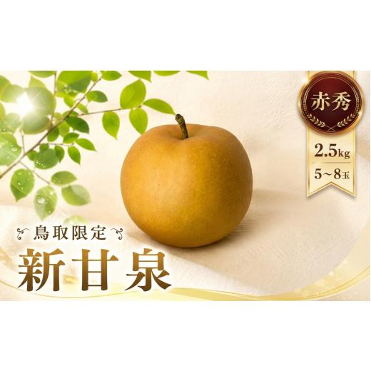ふるさと納税 梨 鳥取県 八頭町 新甘泉(赤秀) 2.5kg