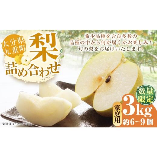 ふるさと納税 梨 大分県 九重町 ご家庭用 九重町産 梨 詰め合わせ 約3kg ( 約6〜9個 ) なし ナシ フルーツ 果物 くだもの 果実 旬 おやつ デザート スイー…