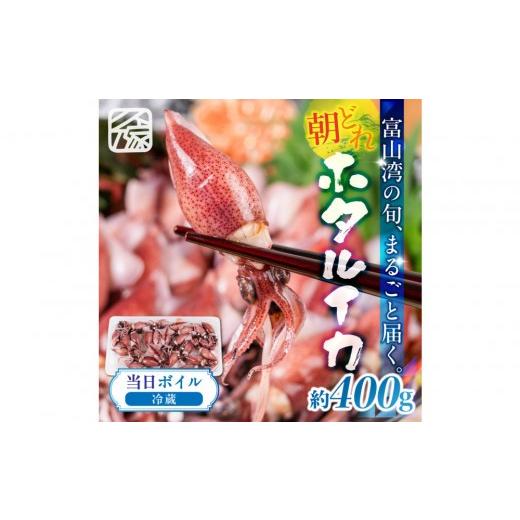 ふるさと納税 いか 富山県 富山市  先んずる取って置く 2027年3月今後順次送りとどける申し合わせ 朝獲れ 富山湾の旬 沸騰させるほたるいか 400g 冷蔵