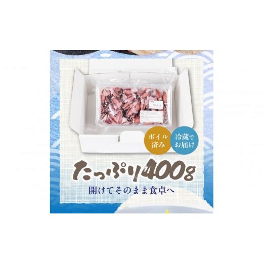 ふるさと納税 いか 富山県 富山市  先んずる取って置く 2027年3月今後順次送りとどける申し合わせ 朝獲れ 富山湾の旬 沸騰させるほたるいか 400g 冷蔵