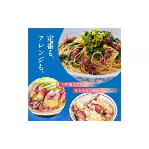ふるさと納税 いか 富山県 富山市  先んずる取って置く 2027年3月今後順次送りとどける申し合わせ 朝獲れ 富山湾の旬 沸騰させるほたるいか 400g 冷蔵