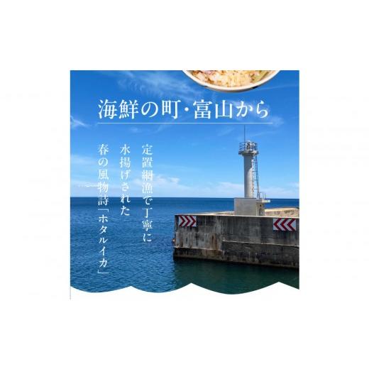 ふるさと納税 いか 富山県 富山市  先んずる取って置く 2027年3月今後順次送りとどける申し合わせ 朝獲れ 富山湾の旬 沸騰させるほたるいか 400g 冷蔵