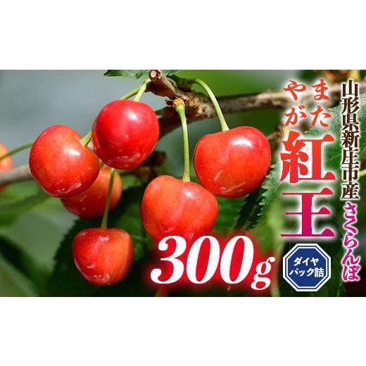 ふるさと納税 果物類 さくらんぼ 山形県 新庄市 山形県 新庄市産 高橋正さん家の やまがた紅王 3L 約300g (約100g×3) ダイヤパック詰め さくらんぼ サクラン…