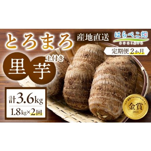 ふるさと納税 野菜類 愛知県 西尾市 定期便2ヶ月 里芋『とろまろ』土付き 1.8kg・H134 2回 定期便/20,000円