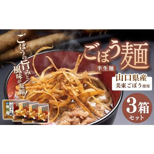 ふるさと納税 うどん 生・半生めん 山口県 美祢市 ごぼう麺3箱セット(4食入り×3箱) 山口県産美東ごぼう使用 | 美東ごぼう ごぼう ごぼう麺 ゴボウ 加工…