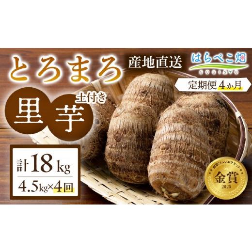 ふるさと納税 野菜類 愛知県 西尾市 定期便4ヶ月 里芋『とろまろ』土付き 4.5kg・H140 4回 定期便/80,000円