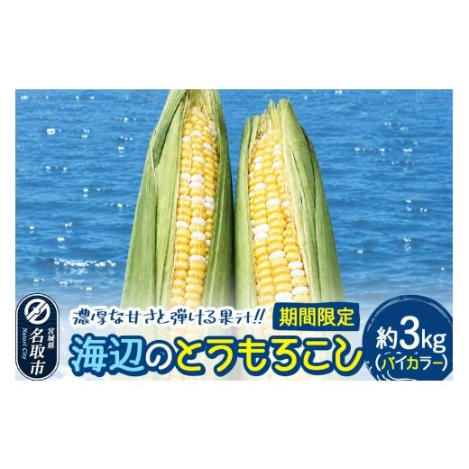 ふるさと納税 とうもろこし 宮城県 名取市 期間限定 濃厚な甘さと弾ける果汁 海辺のとうもろこし バイカラー 約3kg(7〜8本程度)バイカラーコーン 今が旬 ト…